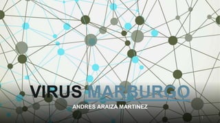VIRUS MARBURGO
ANDRES ARAIZA MARTINEZ
1
 