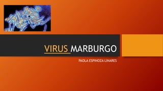 VIRUS MARBURGO
PAOLA ESPINOZA LINARES
 