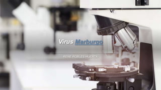 Virus Marburgo
RENE ROBLES HUERTA
1
 