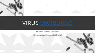 VIRUS MARBURGO
ANA ALICIA PEREZ SUAREZ
HerramientasY Comunidad Digital
 