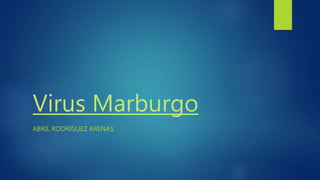 Virus Marburgo
ABRIL RODRÍGUEZ ARENAS
 