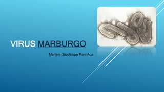 VIRUS MARBURGO
Mariam Guadalupe Mani Aca.
 