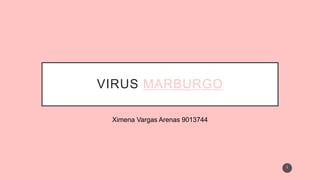 VIRUS MARBURGO
Ximena Vargas Arenas 9013744
1
 