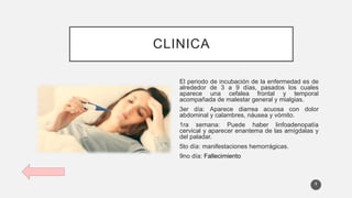 CLINICA
El periodo de incubación de la enfermedad es de
alrededor de 3 a 9 días, pasados los cuales
aparece una cefalea frontal y temporal
acompañada de malestar general y mialgias.
3er día: Aparece diarrea acuosa con dolor
abdominal y calambres, náusea y vómito.
1ra semana: Puede haber linfoadenopatía
cervical y aparecer enantema de las amígdalas y
del paladar.
5to día: manifestaciones hemorrágicas.
9no día: Fallecimiento
8
 