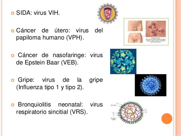 Archivo del blog