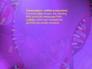 Transcription / mRNA production[]
For some RNA viruses, the infecting
RNA produces messenger RNA
(mRNA), which can translate the
genome into protein products.
 