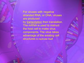 For viruses with negative
stranded RNA, or DNA, viruses
are produced
by transcription then translation.
The mRNA is used to instruct
the host cell to make virus
components. The virus takes
advantage of the existing cell
structures to replicate itself.
 