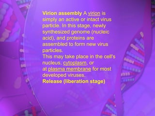 Virion assembly A virion is
simply an active or intact virus
particle. In this stage, newly
synthesized genome (nucleic
acid), and proteins are
assembled to form new virus
particles.
This may take place in the cell's
nucleus, cytoplasm, or
at plasma membrane for most
developed viruses.
Release (liberation stage)
 