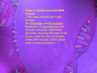 Class 3: Double-stranded RNA
viruses
. This class includes two major
families,
the Reoviridae and Birnaviridae.
Replication is monocistronic and
includes individual, segmented
genomes, meaning that each of the
genes codes for only one protein,
unlike other viruses, which exhibit
more complex translation
 