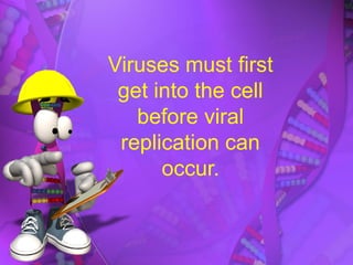 Viruses must first
get into the cell
before viral
replication can
occur.
 