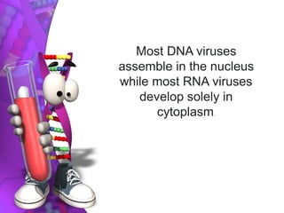 Most DNA viruses
assemble in the nucleus
while most RNA viruses
develop solely in
cytoplasm.
 