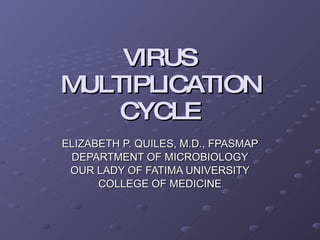 VIRUS MULTIPLICATION CYCLE ELIZABETH P. QUILES, M.D., FPASMAP DEPARTMENT OF MICROBIOLOGY OUR LADY OF FATIMA UNIVERSITY COLLEGE OF MEDICINE 