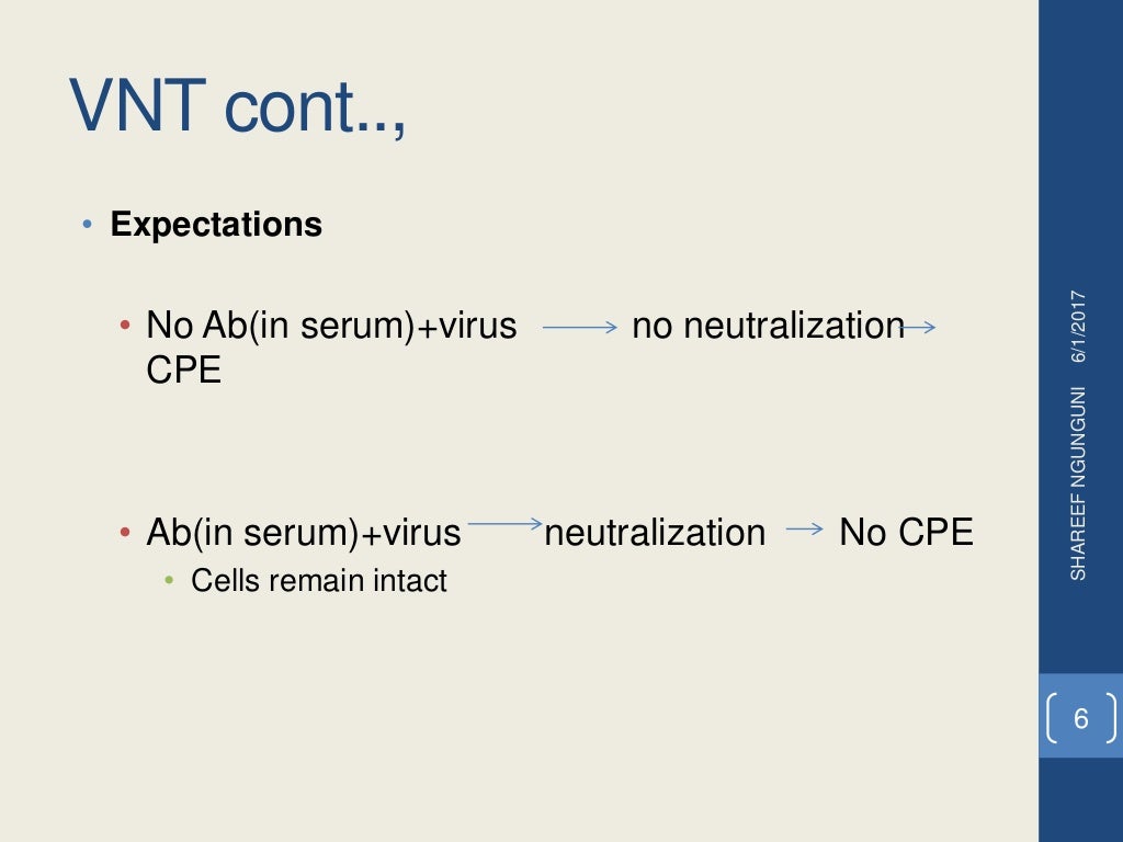 Virus neutralization test