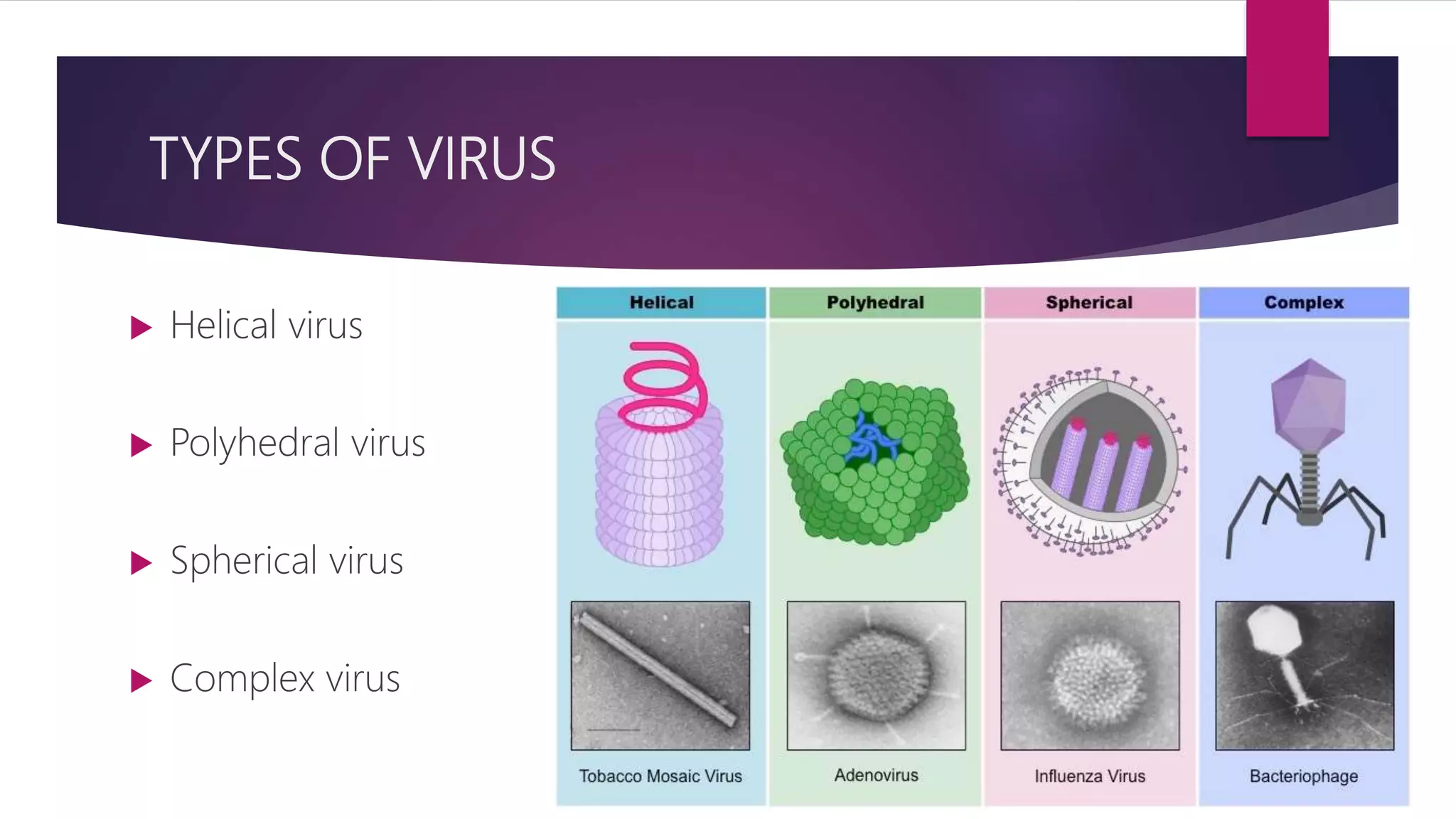 WHO prequalifies first maternal respiratory syncytial virus vaccine