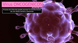 Virus ONCOGENICOS
Proceso de infección puede provocar la transformación
de una célula normal a cancerosa.
 