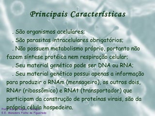 Principais Características . São organismos acelulares; . São parasitas intracelulares obrigatórios; . Não possuem metabolismo próprio, portanto não fazem síntese protéica nem respiração celular; . Seu material genético pode ser DNA ou RNA; . Seu material genético possui apenas a informação para produzir o RNAm (mensageiro), os outros dois, RNAr (ribossômico) e RNAt (transportador) que participam da construção de proteínas virais, são da própria célula hospedeira.  