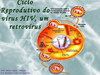 Ciclo Reprodutivo do vírus HIV, um retrovírus 