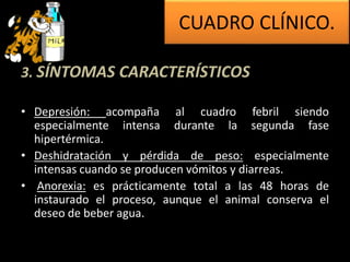 3. SÍNTOMAS CARACTERÍSTICOS
• Depresión: acompaña al cuadro febril siendo
especialmente intensa durante la segunda fase
hipertérmica.
• Deshidratación y pérdida de peso: especialmente
intensas cuando se producen vómitos y diarreas.
• Anorexia: es prácticamente total a las 48 horas de
instaurado el proceso, aunque el animal conserva el
deseo de beber agua.
CUADRO CLÍNICO.
 