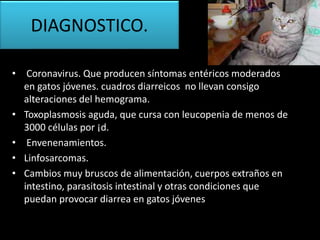 • Coronavirus. Que producen síntomas entéricos moderados
en gatos jóvenes. cuadros diarreicos no llevan consigo
alteraciones del hemograma.
• Toxoplasmosis aguda, que cursa con leucopenia de menos de
3000 células por ¡d.
• Envenenamientos.
• Linfosarcomas.
• Cambios muy bruscos de alimentación, cuerpos extraños en
intestino, parasitosis intestinal y otras condiciones que
puedan provocar diarrea en gatos jóvenes
DIAGNOSTICO.
 