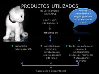 PRODUCTOS UTILIZADOS
De Libre Comercio
(MERCADO)
SUEROS ANTI-
HIPERINMUNES
Profiláctico en:
susceptibles
expuestos al VPF.
susceptibles que
vayan a ser
introducidos en
locales o zonas de
alto riesgo.
Gatitos que no tomaron
calostro 
inmediatamente
después del nacimiento
 vacunaciones
oportunas
Subcutánea o intraperitoneal
No debe
administrarse a
ningún gatito que
no este expuesto
a VPF
 