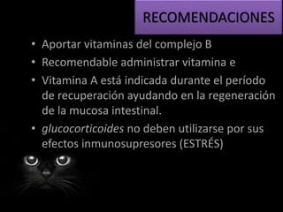RECOMENDACIONES
• Aportar vitaminas del complejo B
• Recomendable administrar vitamina e
• Vitamina A está indicada durante el período
de recuperación ayudando en la regeneración
de la mucosa intestinal.
• glucocorticoides no deben utilizarse por sus
efectos inmunosupresores (ESTRÉS)
 
