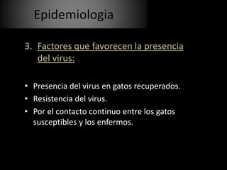3. Factores que favorecen la presencia
del virus:
• Presencia del virus en gatos recuperados.
• Resistencia del virus.
• Por el contacto continuo entre los gatos
susceptibles y los enfermos.
Epidemiologia
 