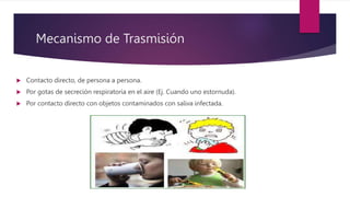 Mecanismo de Trasmisión
 Contacto directo, de persona a persona.
 Por gotas de secreción respiratoria en el aire (Ej. Cuando uno estornuda).
 Por contacto directo con objetos contaminados con saliva infectada.
 