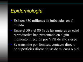 Virus papiloma humano