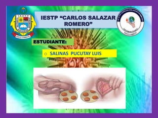IESTP “CARLOS SALAZAR
ROMERO”
ESTUDIANTE:
o SALINAS PUCUTAY LUIS
 