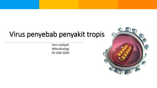 Yani sodiqah
Mikrobiologi
FK UMI 2020
Virus penyebab penyakit tropis
 