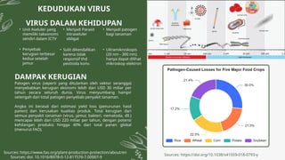 Comprehensive Study on Virus Reproduction and Tomato Plant Pathology | PPTX