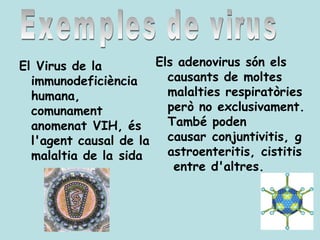El Virus de la        Els adenovirus són els
  immunodeficiència     causants de moltes
  humana,               malalties respiratòries
  comunament            però no exclusivament.
  anomenat VIH, és      També poden
  l'agent causal de la causar conjuntivitis, g
  malaltia de la sida   astroenteritis, cistitis
                         entre d'altres.
 