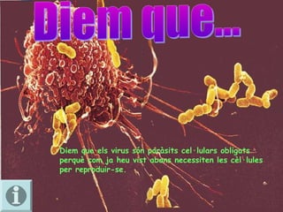 Diem que els virus són paràsits cel·lulars obligats
perquè com ja heu vist abans necessiten les cèl·lules
per reproduir-se.
 