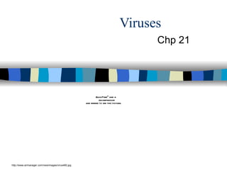 Viruses Chp 21 http://www.airmanager.com/new/images/virus460.jpg 