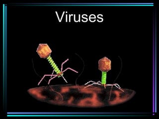 Viruses
 
