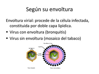Según su envoltura
Envoltura virial: procede de la célula infectada,
constituida por doble capa lipìdica.
 Virus con envoltura (bronquitis)
 Virus sin envoltura (mosaico del tabaco)

 