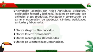 Actividades laborales con riesgo Agricultura, silvicultura,
explotación forestal y jardinería. Trabajos en contacto con
animales o sus productos. Procesado y conservación de
carne y elaboración de productos cárnicos. Actividades
sanitarias y laboratorios.
Efectos alérgicos: Desconocidos.
Efectos tóxicos: Desconocidos.
Efectos cancerígenos: Desconocidos.
Efectos en la maternidad: Desconocidos.
 