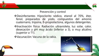 Prevención y control
Desinfectantes Hipoclorito sódico, etanol al 70%, éter,
fenol, preparados de yodo, compuestos del amonio
cuaternario, tripsina, ß-propiolactona, algunos detergentes.
Inactivación física: Radiación ultravioleta, luz solar, calor,
desecación y pH muy ácido (inferior a 3), o muy alcalino
(superior a 11).
Vacunación: Vacuna de la rabia.
 