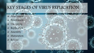 replication of RNA viruses with diagrams | PPTX