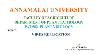 ANNAMALAI UNIVERSITY
FACULTY OF AGRICULTURE
DEPARTMENT OF PLANT PATHOLOGY
PAT-502 PLANT VIROLOGY
TOPIC:
VIRUS REPLICATION
BY
V.AJAYDESOUZA
1ST YEAR M.sc.,(Agri) Plant Pathology
 