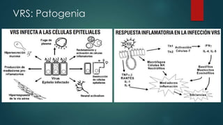 VRS: Patogenia 
 