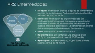 VRS: Enfermedades 
Bronquitis 
Neumonias 
Rinitis 
Hipoxemia 
Hipercapnia 
Tos, fiebre alta, 
disminución del apetito 
 Bronquitis: Inflamación crónica o aguda de la membrana 
mucosa de los bronquios. Produce opresión en el pecho, 
falta de aire, tos productiva. 
 Neumonía: Inflamación de origen infeccioso del 
parénquima pulmonar, que compromete las unidades 
alveolares, los bronquiolos terminales, respiratorios y el 
espacio intersticial circundante. La condensación abarca 
desde un segmento hasta un pulmón completo. 
 Rinitis: Inflamación de la mucosa nasal 
 Hipoxemia: Baja del contenido y/o presión parcial 
de O2 en la sangre arterial. Normal: 60-90 mmHg 
 Hipercapnia: Aumento de la PaCO2 por sobre el límite 
superior normal de 45 mmHg 
 
