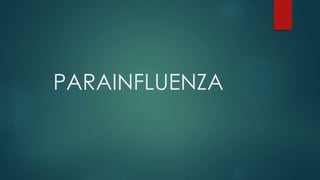 PARAINFLUENZA 
 