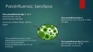 Parainfluenza: Serotipos 
Virus parainfluenza tipo 1: Está 
relacionado con el 
paramixovirus Sendai 
Humanos: Enferm Resp. Altas o 
bajas 
Virus parainfluenza tipo 2: Está 
relacionado con el virus SV-5 y SV-41, 
y virus de la parotiditis. 
Produce inflamación de V.A. en 
humanos. 
Virus parainfluenza tipo 3: 
Relacionado con el virus SF-4. Otitis, 
faringitis. 
Virus parainfluenza tipo 4: Existen 
dos serotipos el 4A y el 4B. 
Bronquiolitis, neumonía. 
 