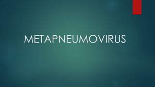 METAPNEUMOVIRUS 
 