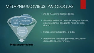 METAPNEUMOVIRUS: PATOLOGIAS 
 3% de IRAS de todas las edades 
 Síntomas: Fiebre, tos , estridor, mialgias, vómitos, 
calofríos, disnea, congestión nasal, cefalea, 
diarrea. 
 Periodo de incubación: 4 a 6 días 
 Tratamiento: Medidas generales, vacuna no 
disponible. Ig endovenosas. 
CBO 
Bronquiolitis 
Neumonia 
Bronquitis 
Laringitis 
Resfrio 
común 
Metapneumovirus 
 