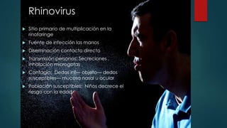 Rhinovirus 
 Sitio primario de multiplicación en la 
rinofaringe 
 Fuente de infección las manos 
 Diseminación contacto directo 
 Transmisión personas: Secreciones , 
inhalación microgotas 
 Contagio: Dedos inf--- objeto--- dedos 
susceptibles--- mucosa nasal u ocular 
 Población susceptibles: Niños decrece el 
riesgo con la edad 
 