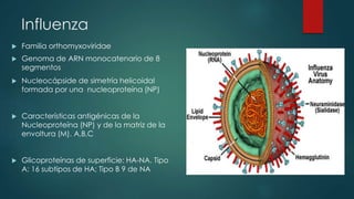 Influenza 
 Familia orthomyxoviridae 
 Genoma de ARN monocatenario de 8 
segmentos 
 Nucleocápside de simetría helicoidal 
formada por una nucleoproteína (NP) 
 Características antigénicas de la 
Nucleoproteína (NP) y de la matriz de la 
envoltura (M). A,B,C 
 Glicoproteínas de superficie: HA-NA. Tipo 
A: 16 subtipos de HA; Tipo B 9 de NA 
 