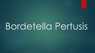 Bordetella Pertusis 
 