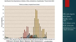  VRS: Julio-Agosto 
 ADV: Enero. 
 Paraflu: Junio- 
Julio 
 Flu A: Mayo-Junio 
 Flu B: Junio-julio. 
 Metapneumovirus 
: Sept.-Octubre. 
